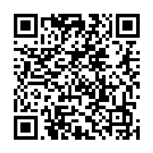 本来还有些臃肿的茶树一下就变成和旁边一样的蘑菇顶了二维码生成