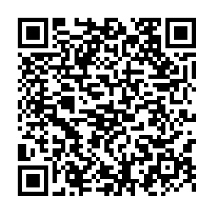 本来还满心期待着能找到类似军械库的房间或者一堆被收缴的大麻……二维码生成