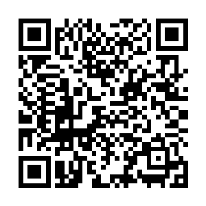 本来还熙熙攘攘的葬魂崖瞬间就是陷入了一片骚乱当中二维码生成