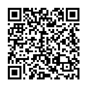 本来还躺在地上痛苦呻吟的二十几个人见到警察来了二维码生成