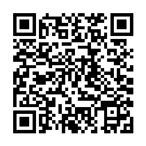 本来这也的确是一次介乎真的打和假的打之间的事情二维码生成
