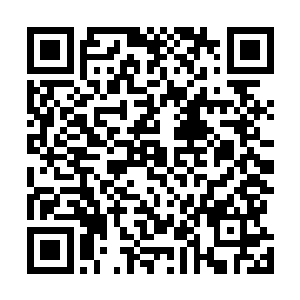 本来这几个秦家的长老和明月轩的两个族叔也是有些无语二维码生成