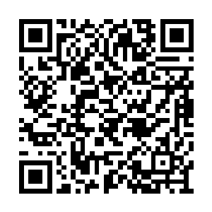 本来这蜥蜴可以将男子的手臂刮开一大道口子的二维码生成