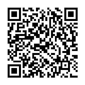 本来选拔是要经过十二位显圣大能的一致通过才行二维码生成