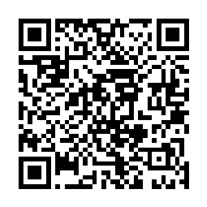 本来那家伙是准备把这最心疼的小老婆在开战前送往前线二维码生成