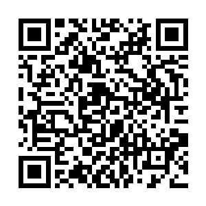 本次三品丹大赛中夺魁的是中原许家族长许紫烟……二维码生成