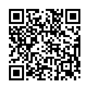 本源能量的自然演化在在混沌石上留下的纹路二维码生成