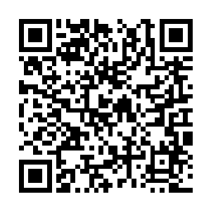 本王还是希望教主尽可能只取那些已经成熟的灵物二维码生成