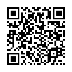 本站打造免费无错误无广告APP上线啦二维码生成