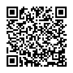 本能的对血妖姬之力的恐惧让它们只能乖乖臣服二维码生成