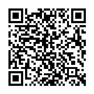 本该支撑徽山未来五十年威望的敬字辈三人死绝二维码生成