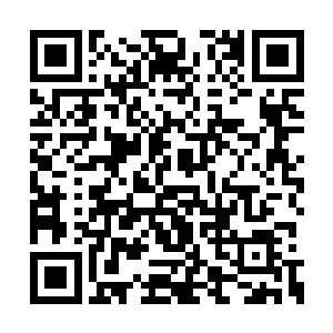 本身也是紫薇宗内门十大天才中排名前五的高手二维码生成