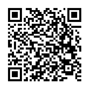 本身也没有什么急事的雷林甚至还与另外一名小商人搭成了协议二维码生成