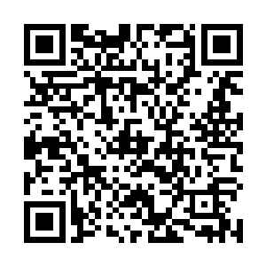 本身实力并没有比叶翔强的太多……甚至从表面上来看二维码生成