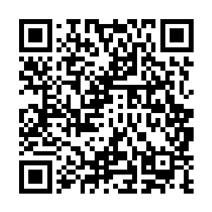 本身就拥有着不朽修为的叶尔夏提将会变得多么的强大二维码生成