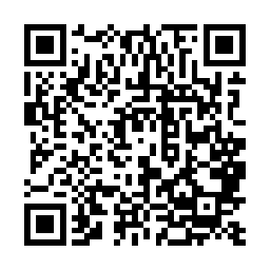 本身就是苦苦支持的南侯和慕容慎也有些感觉撑不住了二维码生成