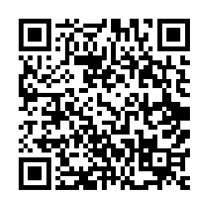 本身就有拨金鼠部落这样已经和大圣村合作很久了的妖兽部落二维码生成