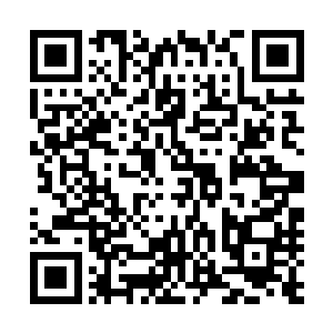 本身就有混沌钟护体的楚旬已经堪称是拥有了最强的矛和盾二维码生成