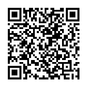 本部也很快认出了这两名宇超联最高委员会的成员二维码生成