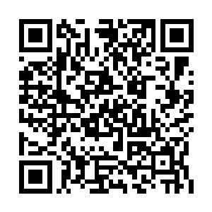 朱三斤一看到洛悠悠顿时一双绿豆眼就泛着狼光二维码生成