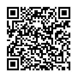 朱书记刚才表扬了成津县工作……这是对我们的鼓励二维码生成