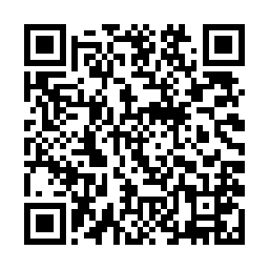 朱厚照尚且稚嫩的脸上立时浮现出一股气不过的神情二维码生成