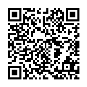 朱家老宅响起了朱守仁一声高过一声的杀猪般的惨叫声和求饶声二维码生成