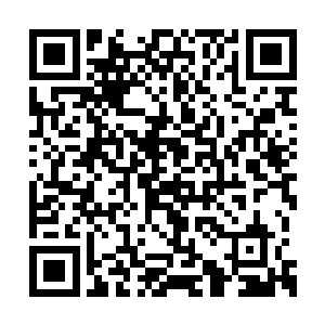 朱平安一行在苗蛮小头人的引领下从人群中穿过二维码生成