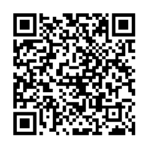 朱平安便听到了李姝和临淮侯府二小姐两人说话的声音二维码生成