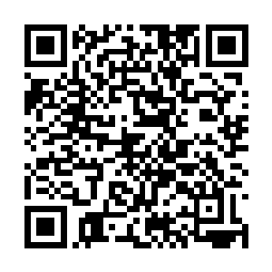 朱平安又按照惯例参加了张县丞等人准备的接风宴二维码生成