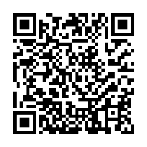 朱平安可是帮杨继盛修改过弹劾严阁老奏疏的人二维码生成
