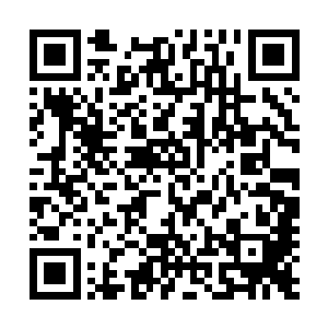 朱平安才明白为何户房典史迟迟没有将案件卷宗给自己送来二维码生成