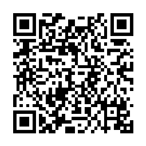 朱平安是不准备返还给那些地主老财和达官显贵的二维码生成