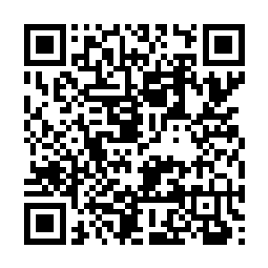 朱平安等四百名新进进士则是没有资格站在这红色二维码生成