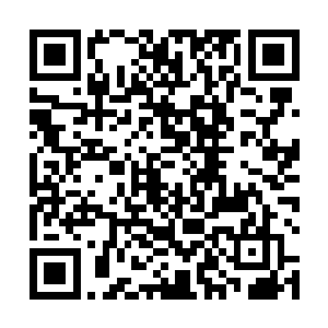朱平安自然又表现出一副被严嵩大公无私所感动的模样二维码生成