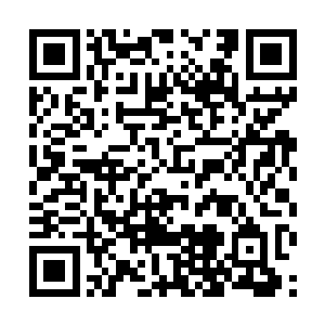 朱平安觉的老李家女生的基因好像比男生质量强多了二维码生成