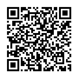 朱平安跟着哥哥朱平川帮忙把竹编还有带来的山珍野味分开摆好二维码生成