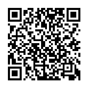 朱平安这一刻明白为什么杨老大人一开始对自己意见那么大了二维码生成