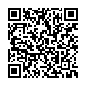 朱平安闻言扫了一眼站在自己对面的公羊胡管家二维码生成