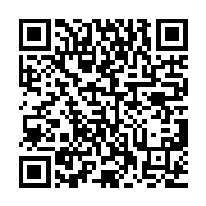 朱晋岩和亚德里恩在祝南镇准备筹建海洋馆的终极目的是什么二维码生成