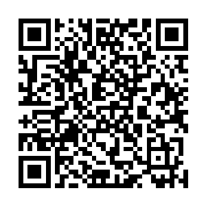 朱晋岩接过了那份报告看了一下之后一屁股坐到了沙发上二维码生成