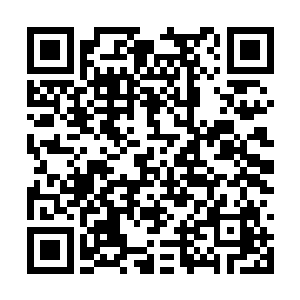 朱月琴完全把李耀当成了一个不知天高地厚的狂徒二维码生成