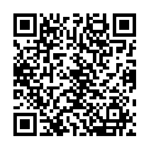 朱父估计会用这么一个宝宝心里苦但是宝宝不能说的表情二维码生成