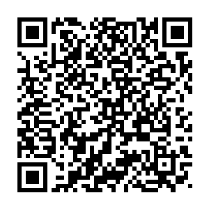 朱红小葫芦射出的两道白光以无处不在之势瞬间抵达了笼罩宫城的禁法二维码生成