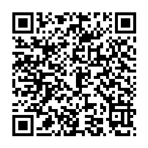 朱老太太偏心也不是一天两天了……陈氏也从没对朱老太太报过希望二维码生成