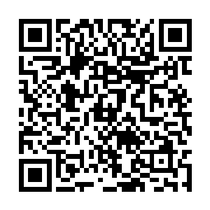 朱良倒是带着几位双鲨岛的长老们前来拜会了一次二维码生成