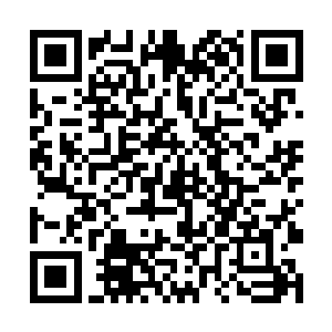 朱雀一族的不朽阴阳葫应该已经转化了不少不朽真液二维码生成