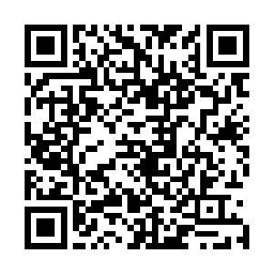 朱雀一族神皇的对手乃是实力达到三阶神皇层次的普通神皇二维码生成