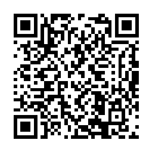 朱雀等三大圣兽也分别从楚旬等人武器上激荡而出二维码生成