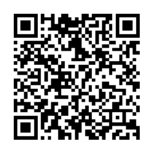 朱雀那浑身燃烧着烈焰的身躯也直接被波塞冬的巨钳给从中剪断二维码生成